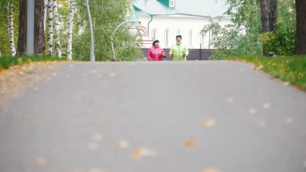 Vieilles femmes marchant sur le trottoir en montée dans un parc d'automne lors d'une promenade scandinave — Video
