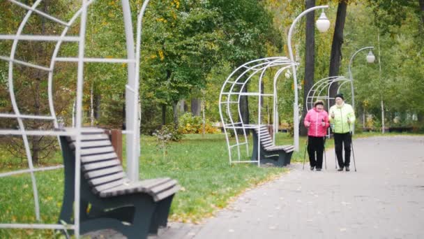 Alte Frauen in Jacken auf dem Bürgersteig in einem herbstlichen Park während eines skandinavischen Spaziergangs — Stockvideo