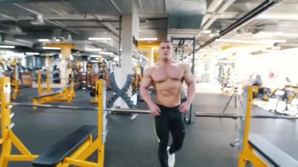 Bodybuilder mit nacktem Oberkörper geht mit Hanteln auf das Gestell zu und nimmt eine Hantel — Stockvideo