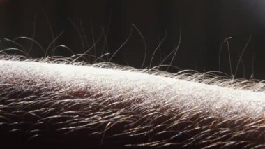 Müzik dinleme sırasında yükselen kol saç