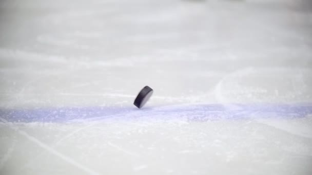 Black puck rotates on ice of ice hockey stadium — Stock Video