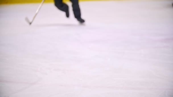 I giocatori di hockey guidano attraverso un campo da hockey con un disco nero. Vista delle gambe — Video Stock