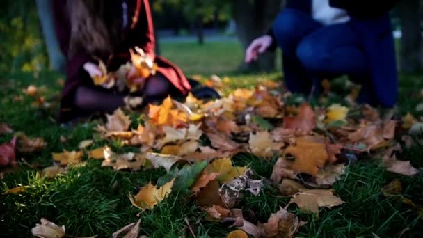 Två unga flickor sitter på gräset med bladverk — Stockvideo