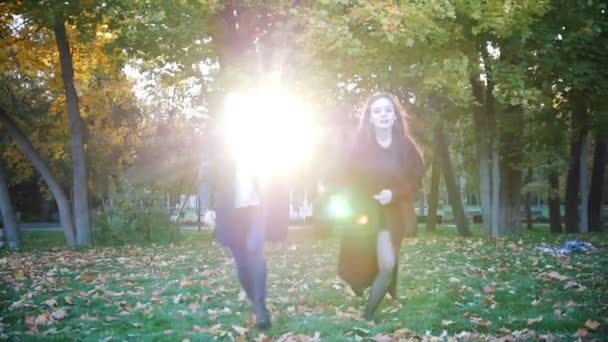 Chicas felices divirtiéndose al aire libre. chicas huyendo en el prado. Dos chicas cogidas de la mano y corriendo por un campo. luz solar — Vídeo de stock