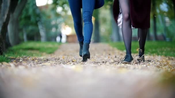 屋外楽しんで幸せな女の子。女の子が公園で実行します。手を繋いでいる二人の女の子 — ストック動画