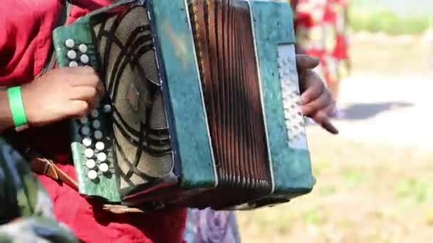 Un homme en costumes folkloriques russes joue de l'accordéon dans la nature . — Video