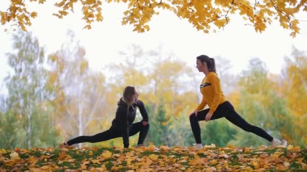 Parkta uzanan kızlar. Jimnastikçiler eğitim. Sonbahar — Stok video