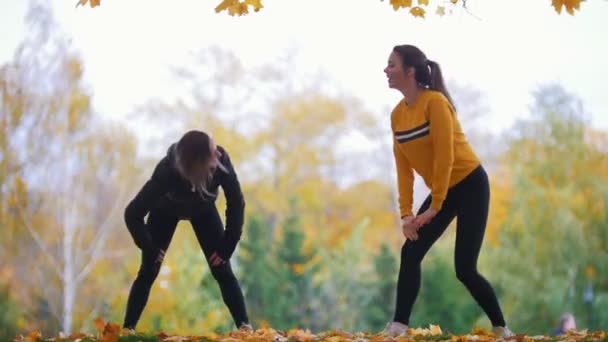 Lányok, nyújtás a park. Előre dől. Tornászok, a képzés. Ősz — Stock videók