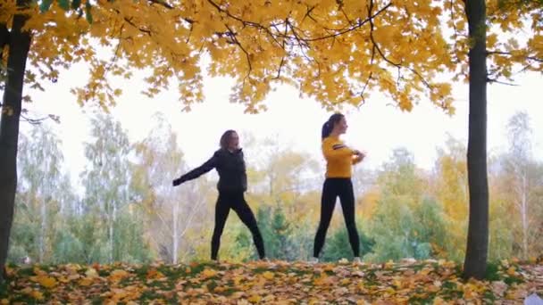 Mädchen wärmen sich vor dem Training im Park auf. Herbst — Stockvideo