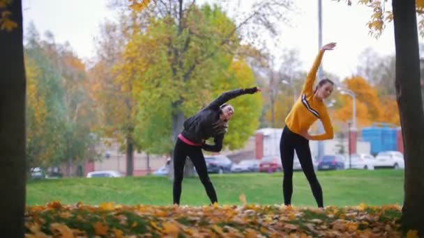 Дівчата розігріваються і займаються гімнастикою в парку — стокове відео