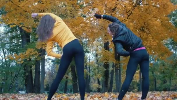 Chicas calentando y haciendo gimnasia en el parque de otoño. De cerca. Vista desde atrás — Vídeos de Stock