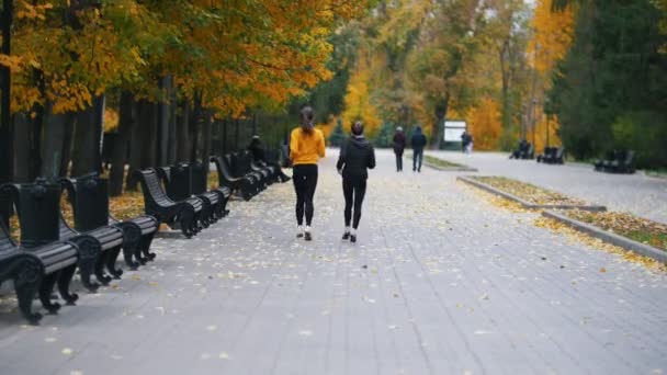 Молодые здоровые женщины бегают в осеннем парке. Вид сзади — стоковое видео