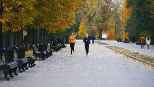 Mujeres jóvenes en forma corriendo en el parque de otoño. Corriendo hacia la cámara — Vídeos de Stock