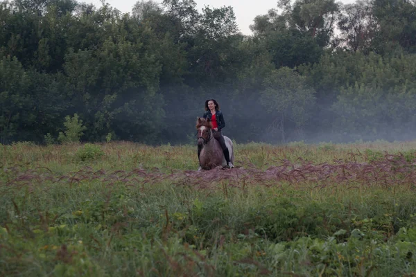 Женщина на туманном поле верхом на лошадях — стоковое фото