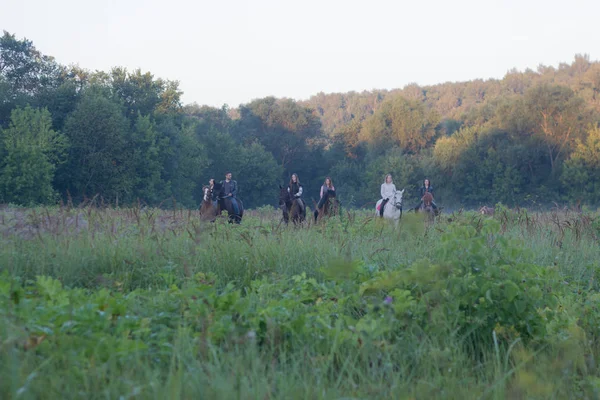 Zespół młodych ludzi, koni na polu mglisty — Zdjęcie stockowe