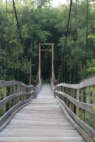 Visutý dřevěný most v zeleném lese — Stock fotografie zdarma