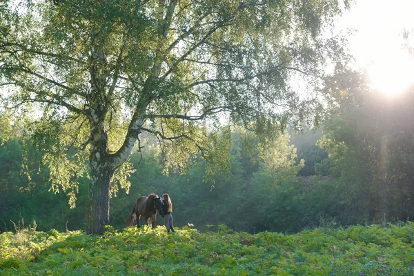 Paard met een ruiter op een prachtige boslandschap. Zonlicht — Stockfoto