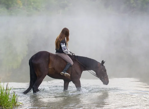 Jovem mulher em um cavalo marrom vai para o lago — Fotografia de Stock