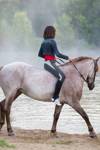 在一匹白马的年轻女子即将进入湖 — 图库照片