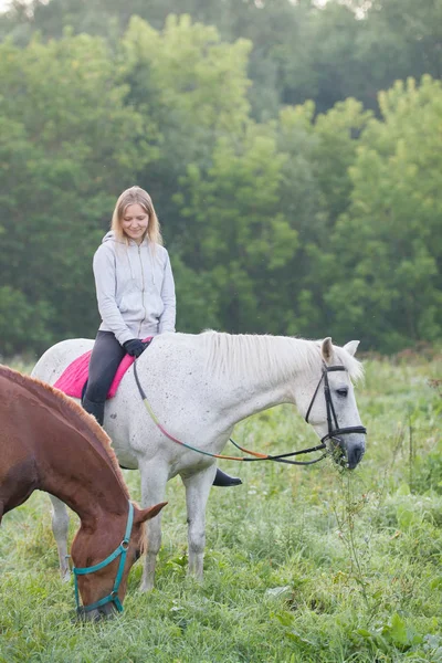 Красивая молодая женщина на белом коне останавливается на поле — стоковое фото