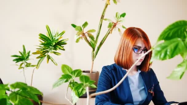 Hands of female worker print the text on laptop in the office — 图库视频影像