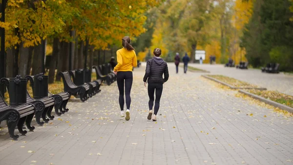 Jovens mulheres aptas a correr no parque de outono . — Fotografia de Stock