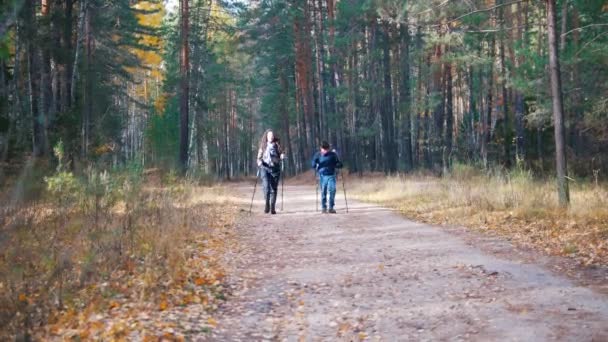 Jonge vrouw en een jongen op Scandinavische lopen in het bos. — Stockvideo