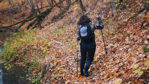 Jonge vrouw op Scandinavische wandeling in het bos. Vrouw krijgt rond de kreek. — Stockvideo