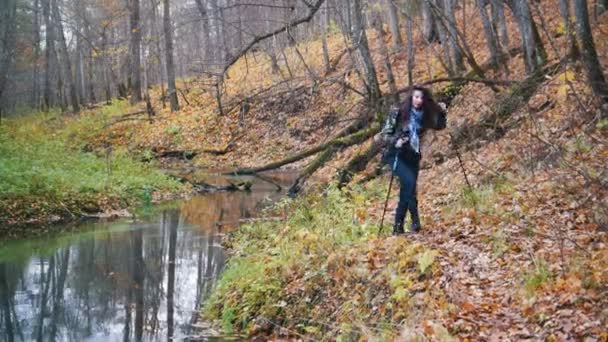 Mujer joven con el pelo rizado en paseo escandinavo en el bosque. Paseos por el arroyo — Vídeo de stock