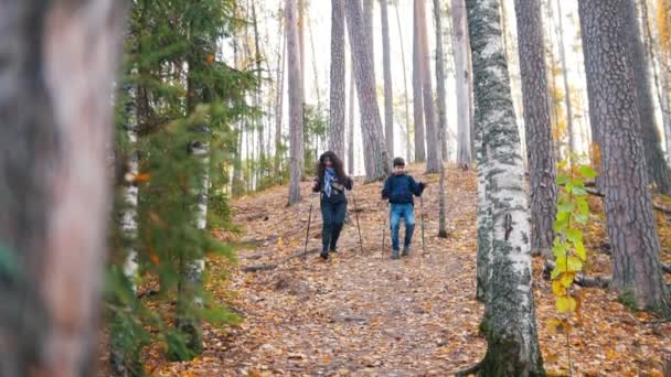 Mujer rizada joven y un niño en paseo escandinavo en el bosque. Yendo cuesta abajo . — Vídeo de stock