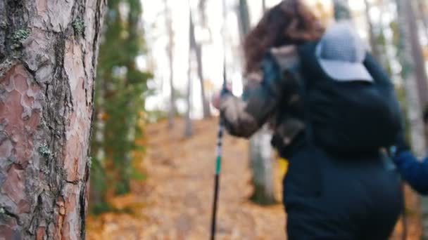 Mujer rizada joven y un niño en paseo escandinavo en el bosque. Yendo cuesta arriba . — Vídeo de stock