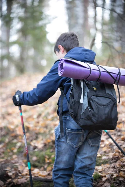 Nordic walking. Portrait of child in an autumn forest. Child having fun in the sunny fall park. Back view