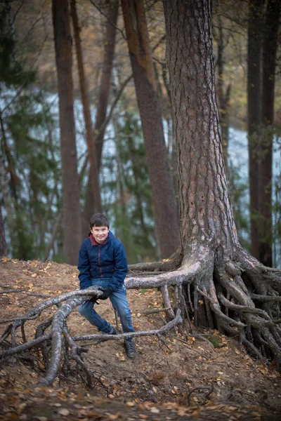 Genç çocuk sonbahar orman antik bir ağaç güçlü kökleri üzerinde oturan poz — Stok fotoğraf