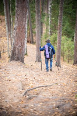 Ormanda seyahat yürüyüşçü sırt çantası olan küçük çocuk. Backview