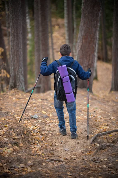 Маленький хлопчик з рюкзаком, що подорожує в лісі — стокове фото