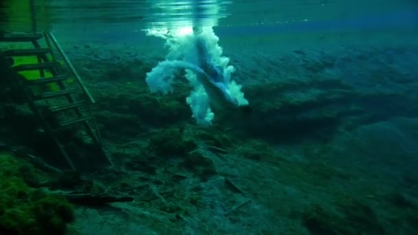 Atletisk man dyker ner i djupt vatten — Stockvideo