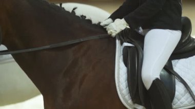 Kız jokey düzgün ve beyaz eldiven kahverengi sürme at üstünde oturuyor