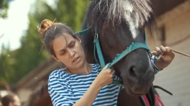 Frau legt Zaumzeug aufs Pferd — Stockvideo