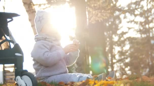 Genç Anne küçük bebek oğlu ile oynuyor. Sonbahar yaprakları ile oynamak. Yakın çekim — Stok video