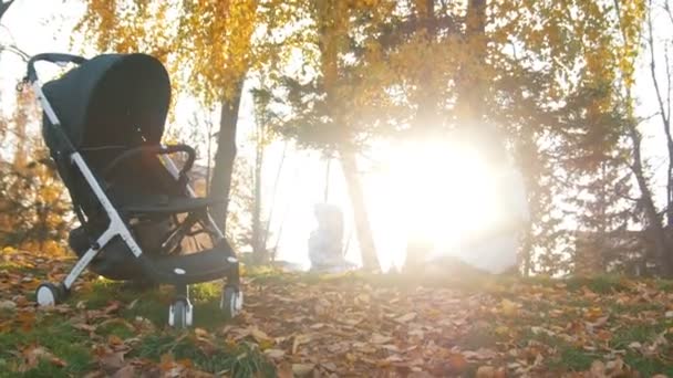 若い母親は、彼女の小さな赤ちゃんの息子と一緒に遊んで。秋の紅葉で遊んでいます。美しい日光 — ストック動画