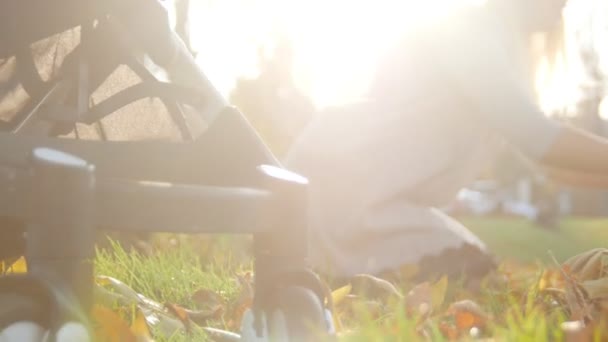 若い母親は、草の上に座って、彼女の幼い息子と遊ぶ。秋の紅葉で遊んでいます。日光 — ストック動画