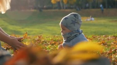 Genç çimde oturma ve küçük oğluyla parkta oynarken anne. Sonbahar yaprakları ile oynamak. Güneş ışığı.