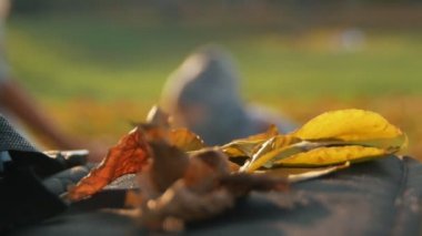 Genç çimde oturma ve küçük oğluyla parkta oynarken anne. Gülen çocuk