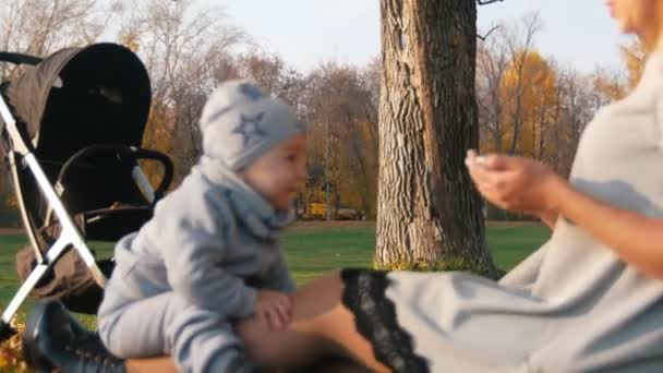 Jeune mère assise sur l'herbe, parlant et jouant avec son petit bébé. J'applaudis. Lumière du soleil . — Video