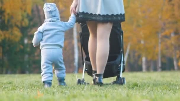 Fiatal anya a babakocsit, kis fia baba közeli a gazdaságban séta kéz — Stock videók