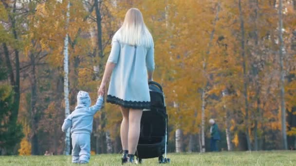 Joven madre con un cochecito de bebé, su pequeño hijo caminando cerca de ella cogido de la mano. Parque de otoño — Vídeos de Stock