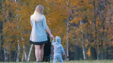 Genç Anne Bebek arabası ile küçük bebek oğlu onu tutarak yakın yürüyüş eller. Sonbahar park. Arkadan görünüm