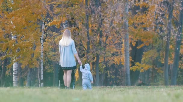 Joven madre con un cochecito de bebé, su pequeño bebé caminando cerca de ella cogido de la mano. Parque de otoño — Vídeos de Stock