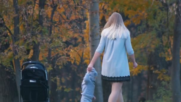 Молодая мать с маленьким сыном, идущим рядом с ней, держась за руки. Осенний парк — стоковое видео
