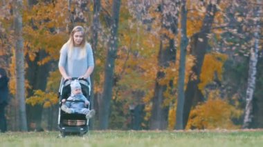 Genç Anne ile bebek arabası bebek bu sonbahar parkta yürüyüş içinde